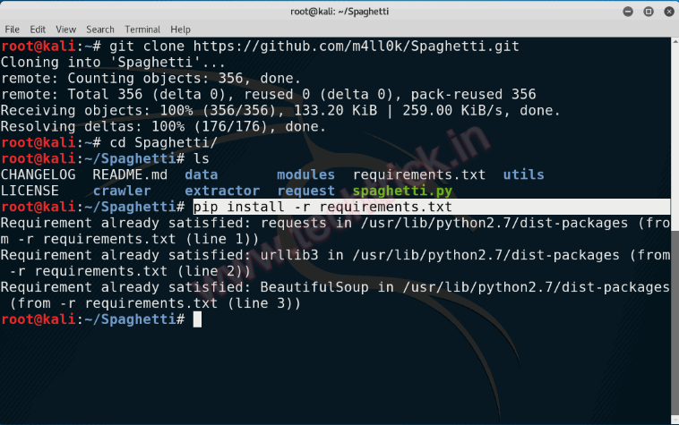 Web Application Security Scanner in Kali Linux Spaghetti